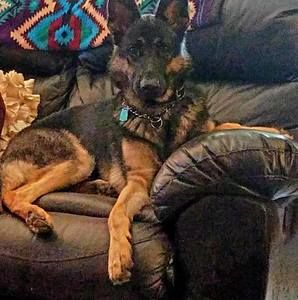 Meet your Posher, Stacey